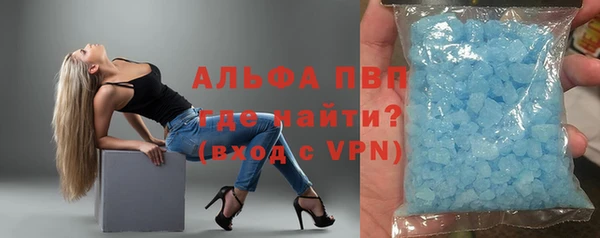 стаф Гусев