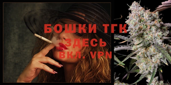 крисы Гусь-Хрустальный