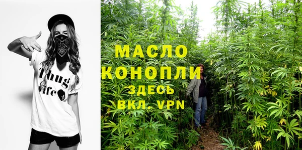 крисы Гусь-Хрустальный