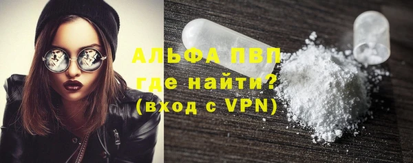 стаф Гусев