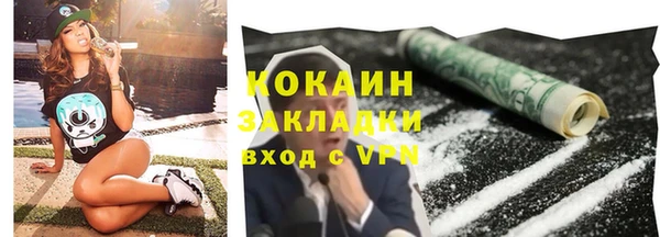 стаф Гусев