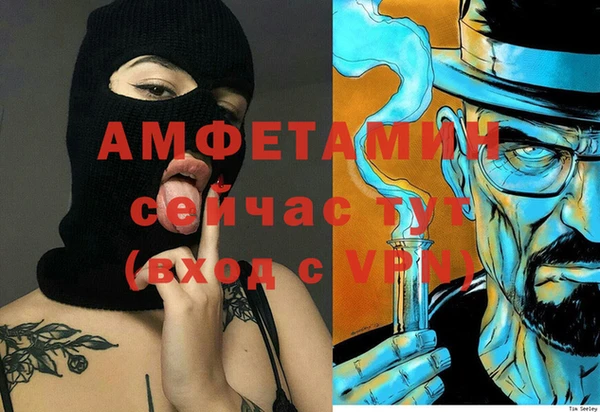 стаф Гусев