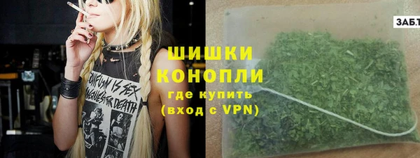 PSILOCYBIN Гусиноозёрск