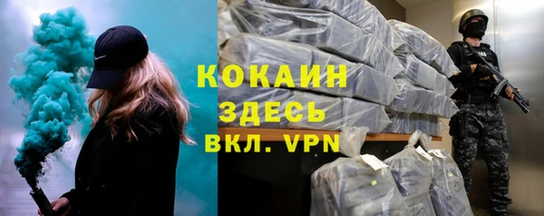 стаф Гусев