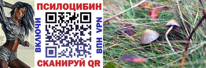 Псилоцибиновые грибы прущие грибы  продажа наркотиков  Москва 