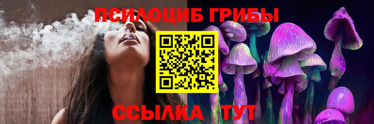 Псилоцибиновые грибы мухоморы Москва